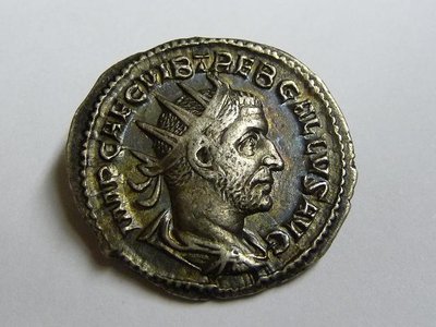 Trebonianus 007.jpg