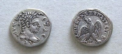 Kopie von Geta-Tetradr-LAODICEA-Adler-PRIEUR1172.jpg