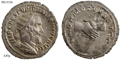 pupienus.jpg