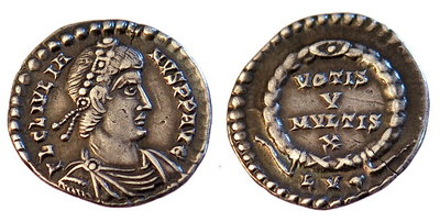 siliqua julianus.JPG