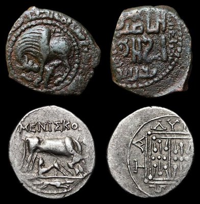 229-1153_Filota_Ahlat_Cow_n.jpg