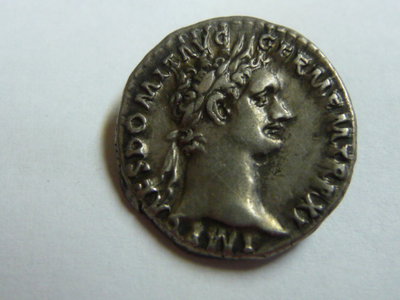 Domitian 05-11-2014 003.JPG