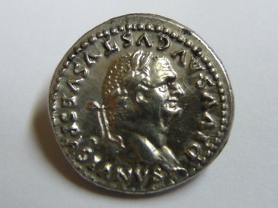 Vespasian 06-15 007.JPG