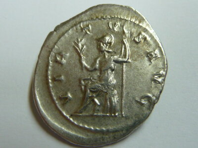 Decius Virtus 016.JPG