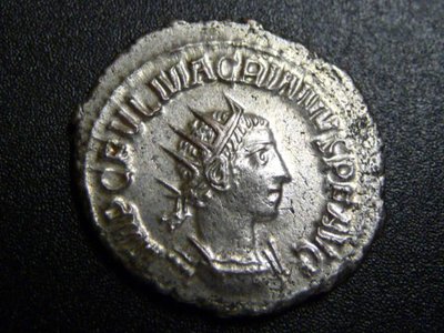 Macrianus 020.jpg