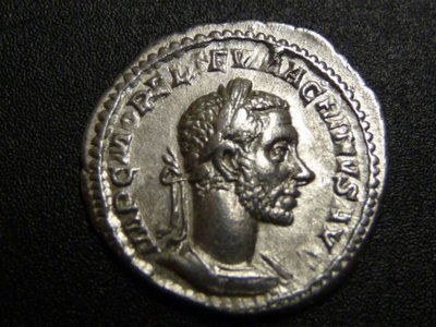 Macrinus 017.jpg