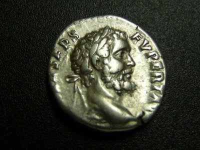 Septimius 006.jpg