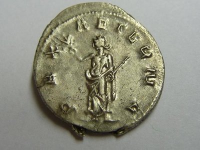 Trebonianus 030.jpg