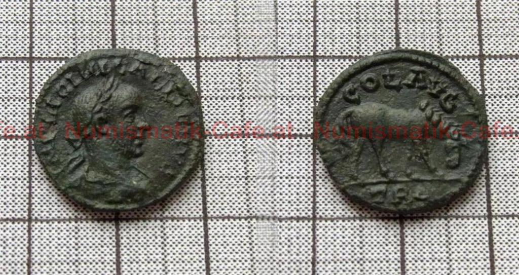 GALLIENUS - AE21 - TROAS - Bellinger A451