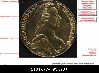 SF - Vienna - H62 GP - Crossed Bars - Gold Plated - Bust LR