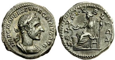 VA16503.jpg