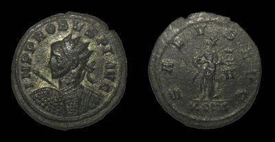 Probus Shield Front Sisc.jpg