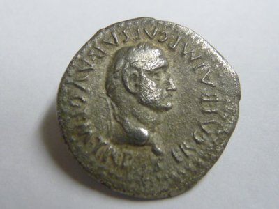Galba gereinigt 002.jpg
