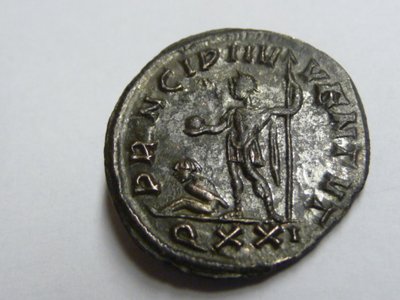 geputzter Garinus 016.jpg
