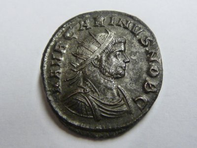 geputzter Garinus 006.jpg