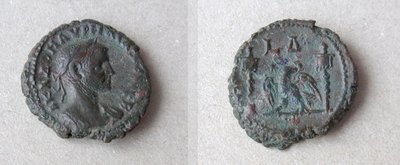 Aurelianus-BItetra-Kampmann-Ganschow-106-22.jpg