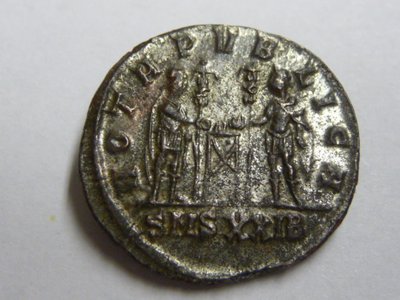 geputzter Carinus 015.jpg
