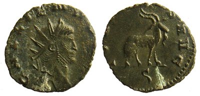 gallienus_ziegenbock.JPG