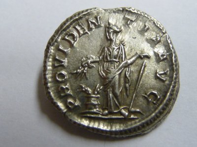 Neue 015.jpg