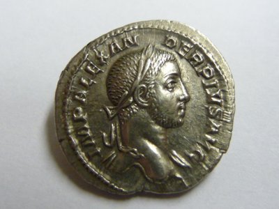 Neue 013.jpg