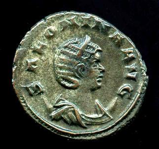 Ant. Salonina C. 27 Av. SALONINA AVG..jpg