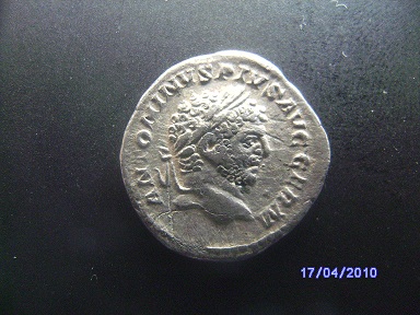SANY1446.JPG