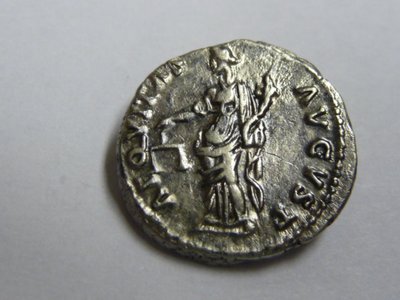 Nerva - leicht gereinigt 014.jpg