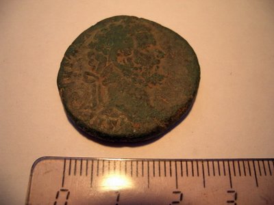 CIMG4561.jpg