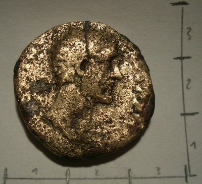 CIMG4638.jpg