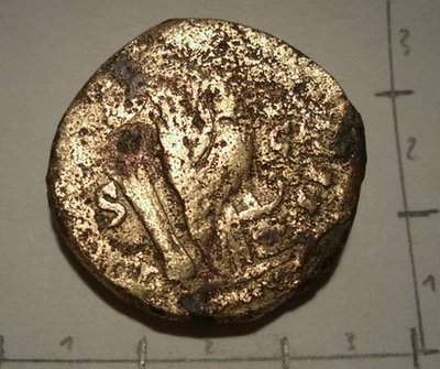 CIMG4639.jpg