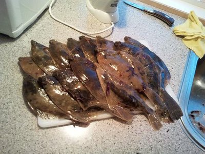 2011-06-29 b.JPG