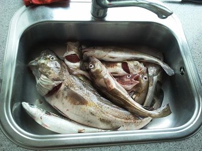 2011-07-05 c.JPG