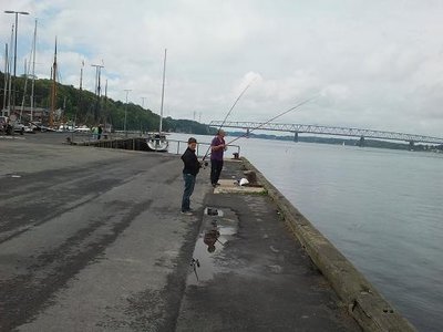 2011-07-08 g.JPG
