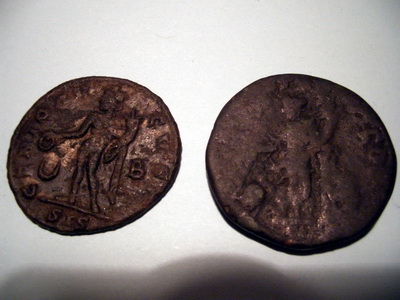 CIMG4679_resize.jpg
