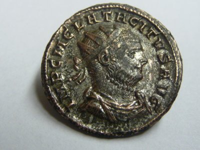 Tacitus - August 2011 005.jpg