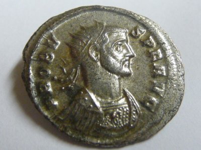 Probus Adventus 002.jpg