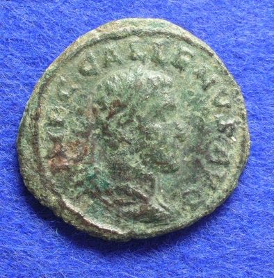 2631a.jpg