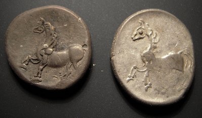 augentyp_hinten.jpg