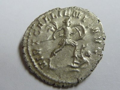 Neuzugang 21.09.2011 014.jpg