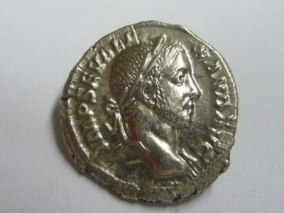 Neuzugang 22.09.2011 008.jpg