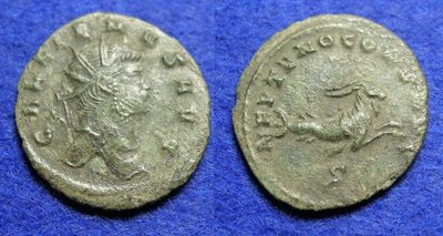 2648a.JPG