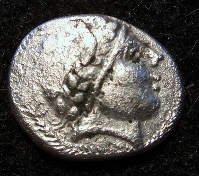 CIMG4878.jpg