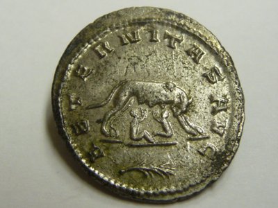 Aeternitas Gallienus 017.jpg