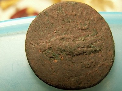 vespasi 003 - Kopie.JPG