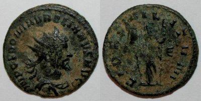 fides-selten.jpg