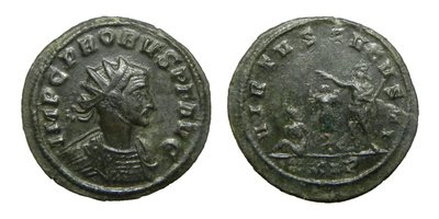 Probus_Trophy_captive_Crowning_Ant_Siscia.jpg