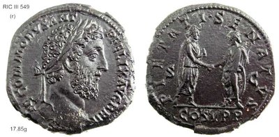 coomodus pietsenatus.jpg