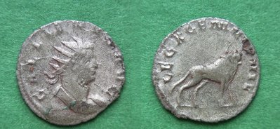Gallienus-Antoninian-MEDIOLANUM-LEG X GEM VI P VI F-Stier-GÖBL1011r.jpg