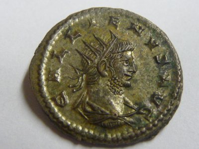 Gali 008.jpg