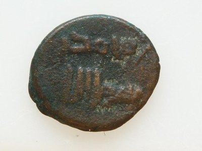 mus 002.jpg